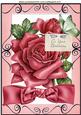 Pretty Big Pink Rose, with Butterflie and Bow A4