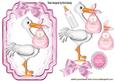 Stork with Baby Girl! on Lace with Bow