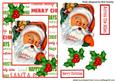 Christmas Greetings from a Jolly Santa