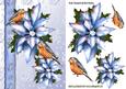 Robins and Pretty Poinsettias