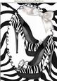 Zebra Print Shoes with White Bow A4
