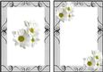 Daisies A5 Insert