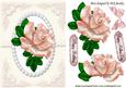 Single Blush Pink Rose with Bow and Lace