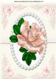Single Blush Pink Rose with Bow and Lace A4