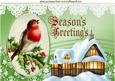 Lovely Robin Covered with Snow Covered Cottage A4