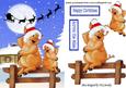 If Santa Can Dress Up So Can We, Cheeky Little Pigs!