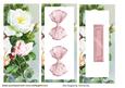 Pink and White Wild Roses, Tunnel Layers
