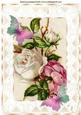Roses and Lace with Butterflies A4