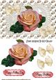 Pretty Shades of Peach Rose , on Ecru Vintage Lace with Bows