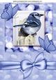 Pretty Blue Jay, with Butterflies and Bow A4
