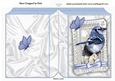 Pretty Blue Jay, with Butterflies, in a Frame, Folded Book