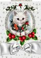 White Kitten with Holly and Berry Swag with Bow A4