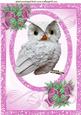 Snow Owl in Pink Glitter, with Pink Bow and Holly A4