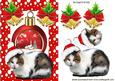 Cat with Santa Hat and Winter Scene Bauble