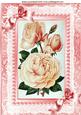 Peach Roses, Pink Lace with Pearls & Bows A4