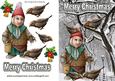 Kind Gnome Feeding the Birds in the Snow!