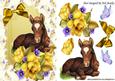Pretty Little Foal Among the Yellow Roses, with Bow