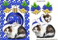 Kitty in Blue Santa Hat, with Snowscene Bauble