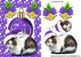 Kitty in Purple Santa Hat, with Snowscene Bauble