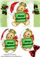 Big Cuddly Teddy in Santa Hat Oval Pyramids