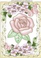 Pretty Pink Pearl Rose with Flowers & Butterflies A4