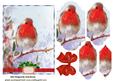 Cute Robin on a Branch Bracket Pyramids with Bow