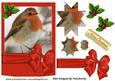 Lovely Robin in a Frame with Big Bow Star Pyramids