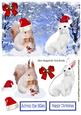 Cute White Bunny and Squirrel in Santa Hats in the Snow