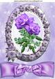 Pretty Lilac Roses in Rose Frame and Lace with Bow A4