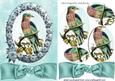 Pretty Blue Bird in Frame of Roses in Oval Pyramids