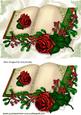 Beautiful Red Rose with Holly & Berries on a Pretty Book A5