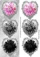 Silver Frill Hearts with Flower Toppers, Tall Dl