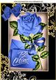 Be Mine, Pretty Blue Rose with Letter and Bow A4