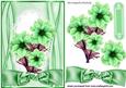 Green Flowers on Lace with Big Bow