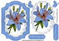 Blue Lily on Lace with Butterflies