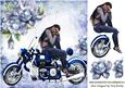 In Deep Thought, with Blue Roses and Motorbike 8x8