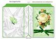 Pretty Vintage Cream Rose with Green Bow Folded Book