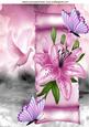 Pink Lillies and Butterflies on a Scroll with Dove A4