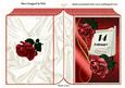 Our Special Day February 14th with Red Roses Folded Book