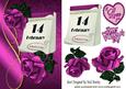 Our Special Day February 14th with Pink Rose