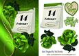 Our Special Day February 14th with Green Rose