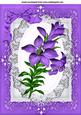 Pretty Purple Lily on Lace Wih Bow in Ornate Frame A4