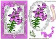 Pretty Pink Lily on Lace Wih Bow Card & Topper