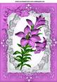 Pretty Pink Lily on Lace Wih Bow in Ornate Frame A4