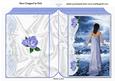Pretty Lady Strolling by the Blue Sea, Folded Book