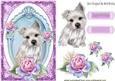 Gorgeous Little Westie with Pink Roses in Frame