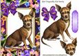 Gorgeous Little Chihuahua in Flower Frame with Bow
