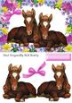 Pair of Cute Foals Laying Down in Floral Frame