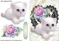 Cute White Kitty and Black Lace Heart with Pink Rose