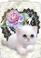 Cute White Kitty and Black Lace Heart with Pink Rose A4